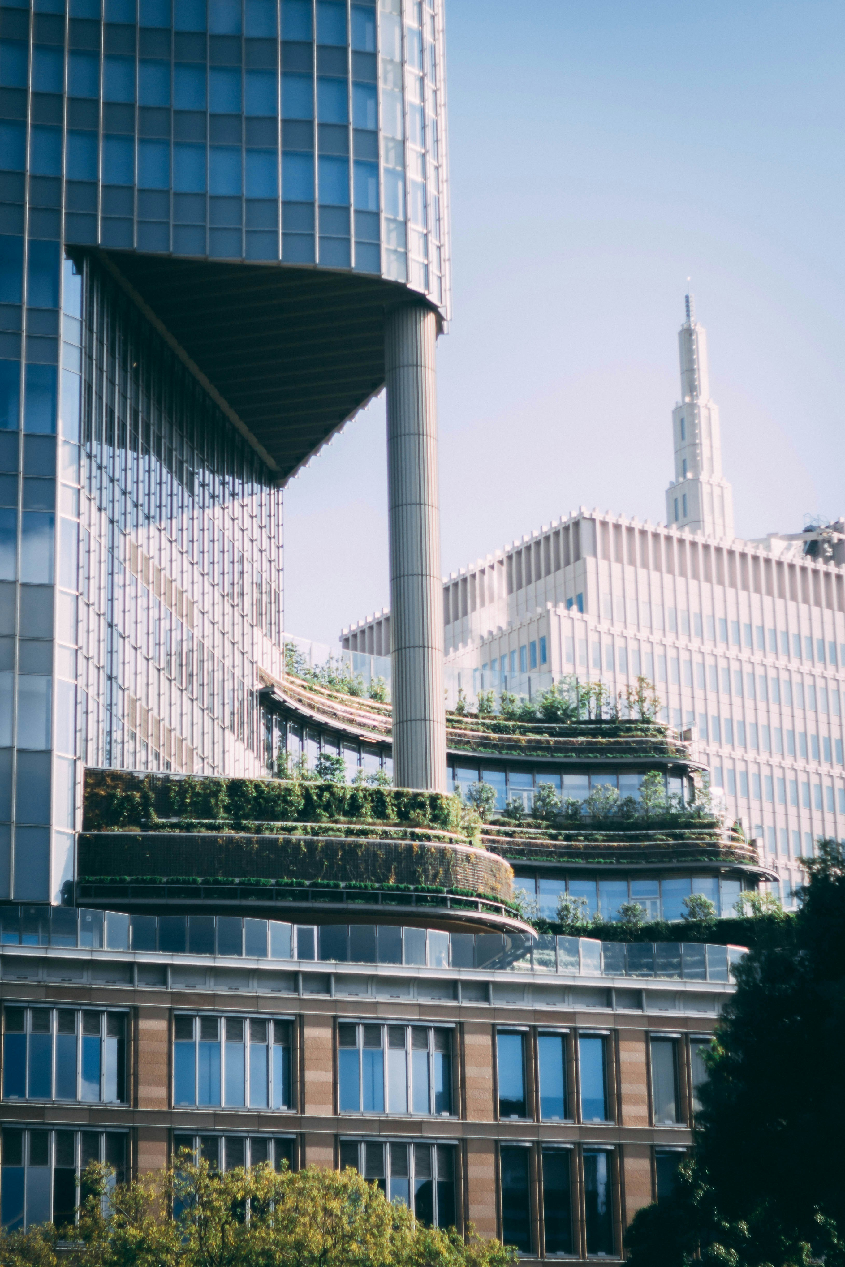Modern city buildings with layered greenery.